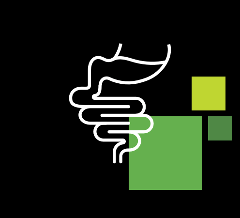 kachel equinova hoeveler verdauung